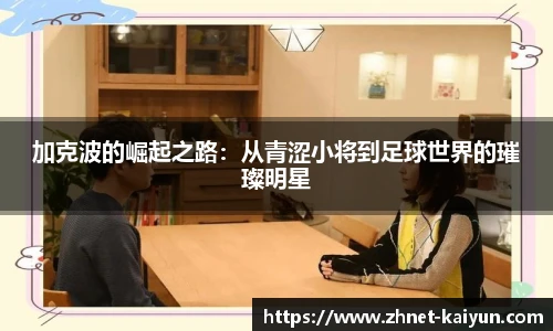 开云app